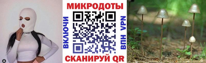 Галлюциногенные грибы Psilocybe  Купить где  Усть-Илимск 